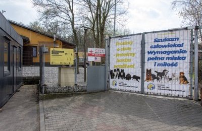 Radni przyjęli nowy Program Opieki nad Zwierzęta