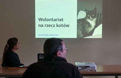Szkolenie dla nowych kocich wolontariuszy
