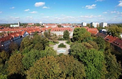 Bliżej miejskiej natury. Zielone spacery po Bytom