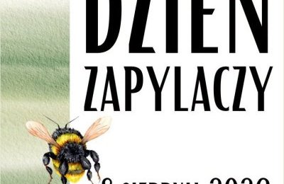 Świat owadów zapylających