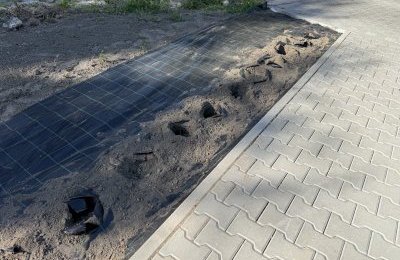 Po krzewach róż zostały tylko dziury w ziemi. K