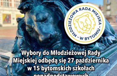 Wybory do Młodzieżowej Rady Miejskiej 