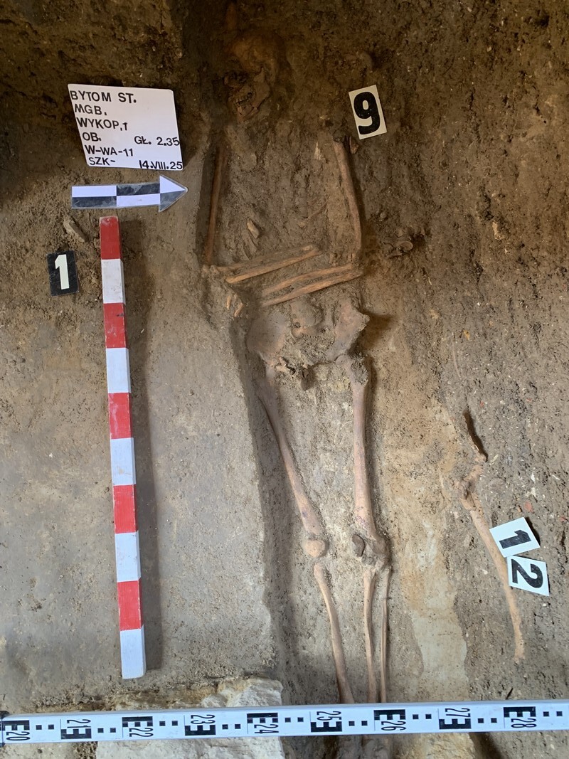 Międzynarodowy Dzień Archeologii w Muzeum Górnośląskim. Na zdjęciu wykopaliska Międzynarodowy Dzień Archeologii w Muzeum Górnośląskim. Na zdjęciu wykopaliska