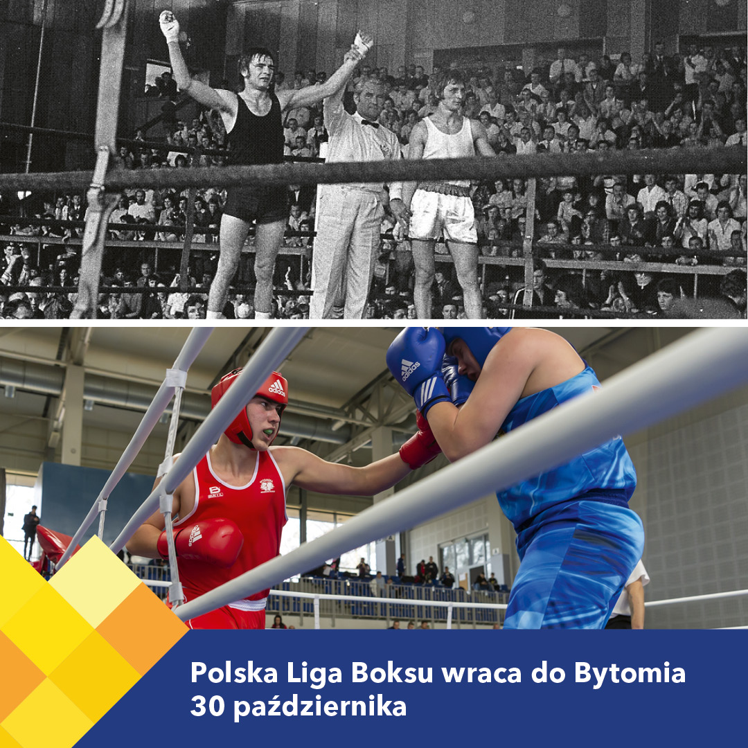 Liga bokserska wraca do Bytomia po latach