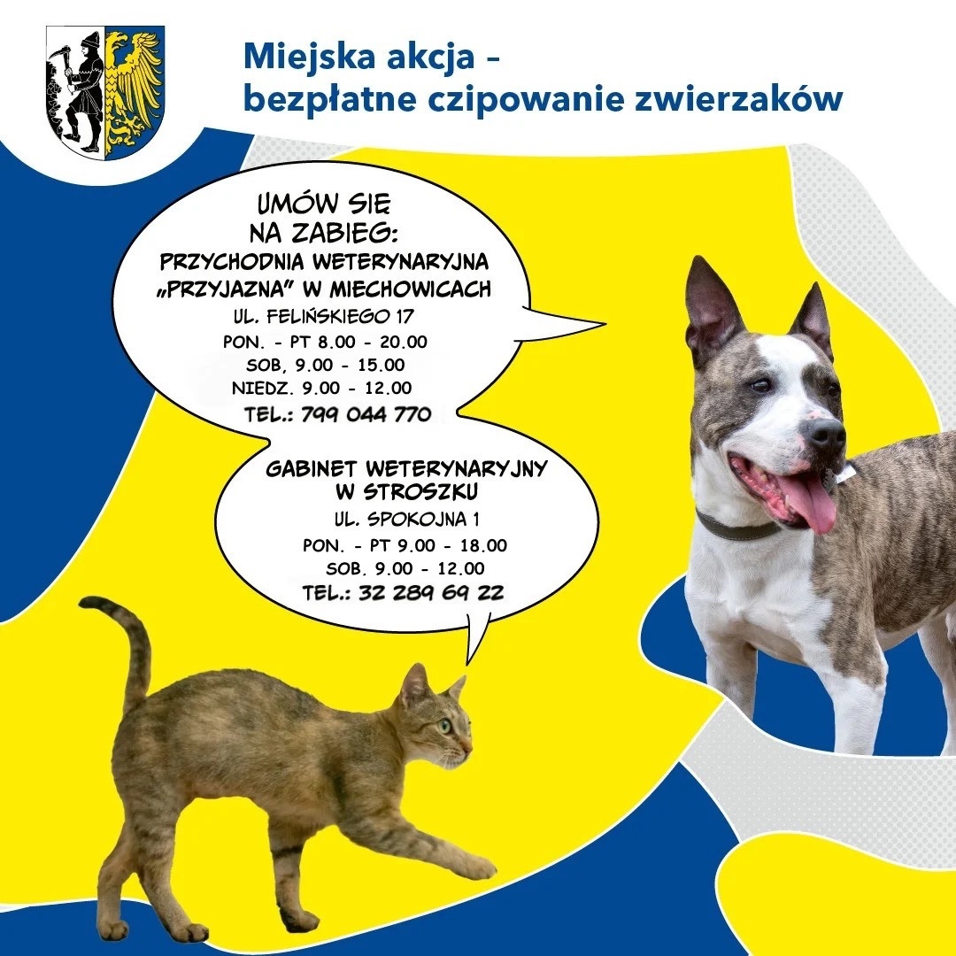 plakat