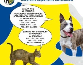 Zaczipuj bezpłatnie swojego czworonoga 