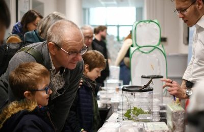 Motyle, chrząszcze i pająki. Zachwyć się róż