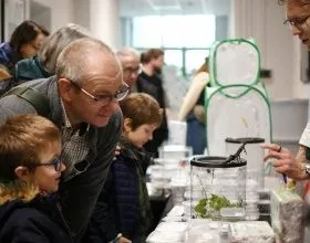 Motyle, chrząszcze i pająki. Zachwyć się róż