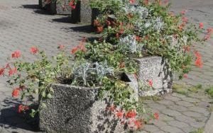 IMG_8470.jpg