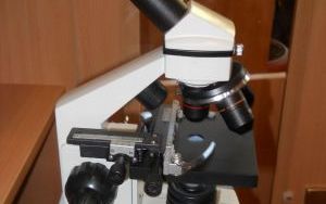 DSCN1949.jpg