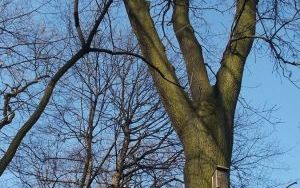 DSCN2573.JPG