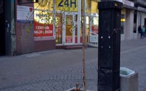DSC_3089.JPG