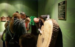 _MG_2044.JPG