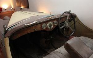 IMG_0151 - Riley.jpg