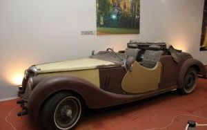 IMG_0150 - Riley.jpg