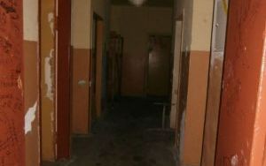 P1100003.jpg