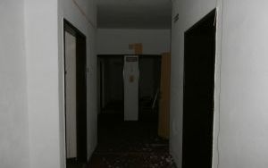 P1100010.jpg