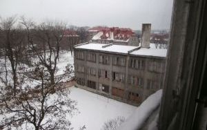 P1100033.jpg