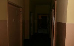 P1100012.jpg