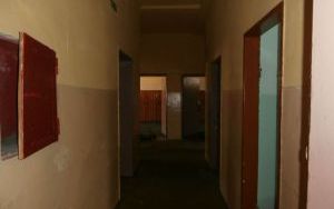 P1100016.jpg