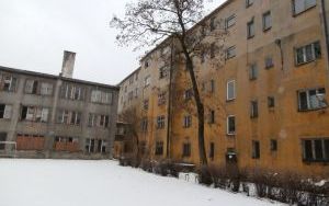 P1100041.jpg