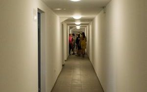 DSC_1997.jpg
