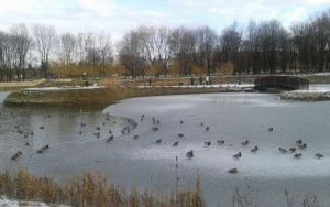 20160131_101024.jpg