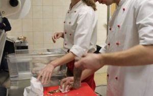 gastro1.jpg