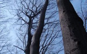 DSC04330.JPG