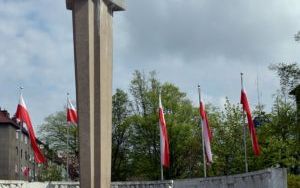 DSC_1923.JPG