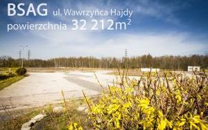 BSAG I Hajdy 001.jpg