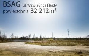 BSAG I Hajdy 003.jpg