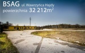 BSAG I Hajdy 002.jpg