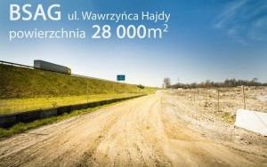 BSAG II Hajdy 002.jpg