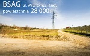 BSAG II Hajdy 001.jpg