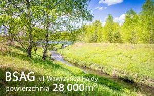 BSAG II Hajdy 007.jpg