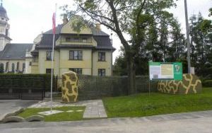 foto.jpg
