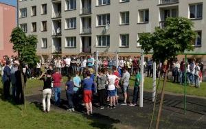 DSC_6785.JPG