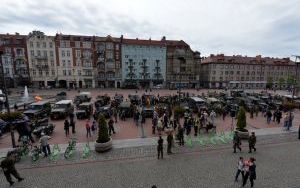 DSC_8080.JPG