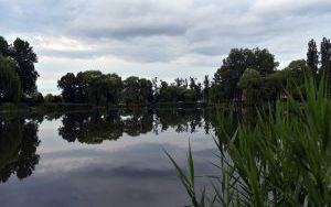 DSC_8202.JPG