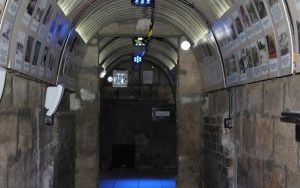 IMG_1236.JPG