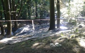 20160722_082419.jpg