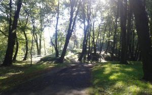 20160722_082554.jpg