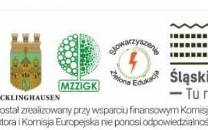 pasek.jpg