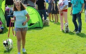 IMG_1049.JPG