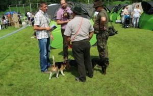 IMG_1063.JPG