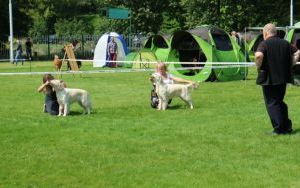 IMG_1065.JPG