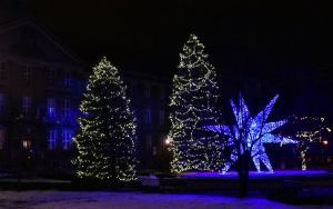 DSC_0571.JPG