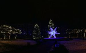 DSC_0586.JPG