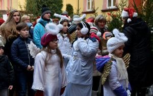 DSC_1393.JPG